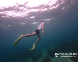 Underwater Odyssey snorkeling excursion in Pattaya Thailand photo 323