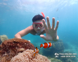 Underwater Odyssey snorkeling excursion in Pattaya Thailand photo 553