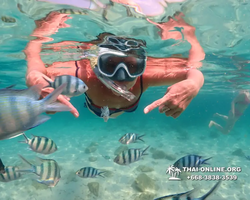 Underwater Odyssey snorkeling tour from Pattaya Thailand photo 14174