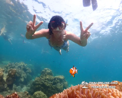 Underwater Odyssey snorkeling tour from Pattaya Thailand photo 14580
