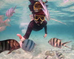 Underwater Odyssey snorkeling tour from Pattaya Thailand photo 14552