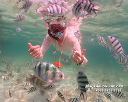 Underwater Odyssey snorkeling tour from Pattaya Thailand photo 18352