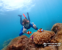 Underwater Odyssey snorkeling excursion in Pattaya Thailand photo 741