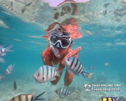 Underwater Odyssey snorkeling tour from Pattaya Thailand photo 14484