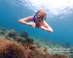 Underwater Odyssey snorkeling excursion Pattaya Thailand photo 11369