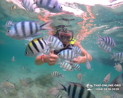 Underwater Odyssey snorkeling excursion in Pattaya Thailand photo 61