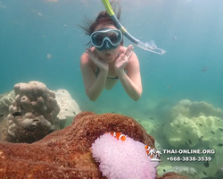 Underwater Odyssey snorkeling excursion Pattaya Thailand photo 19390