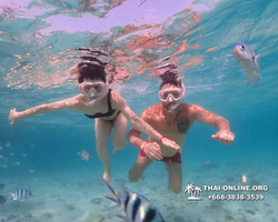 Underwater Odyssey snorkeling excursion Pattaya Thailand photo 11041