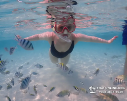 Underwater Odyssey snorkeling excursion in Pattaya Thailand photo 984