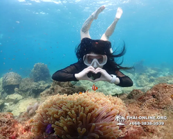 Underwater Odyssey snorkeling excursion Pattaya Thailand photo 11462