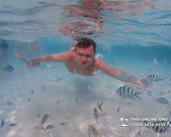 Underwater Odyssey snorkeling excursion in Pattaya Thailand photo 1025