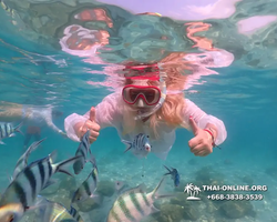 Underwater Odyssey snorkeling tour from Pattaya Thailand photo 14463