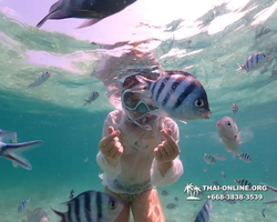 Underwater Odyssey snorkeling tour from Pattaya Thailand photo 18523