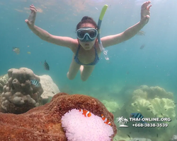 Underwater Odyssey snorkeling excursion Pattaya Thailand photo 19493