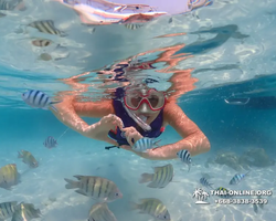 Underwater Odyssey snorkeling excursion in Pattaya Thailand photo 914