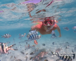 Underwater Odyssey snorkeling excursion in Pattaya Thailand photo 554