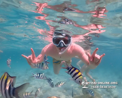Underwater Odyssey snorkeling tour from Pattaya Thailand photo 14395