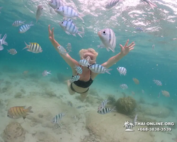 Underwater Odyssey snorkeling excursion in Pattaya Thailand photo 144