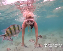 Underwater Odyssey snorkeling excursion in Pattaya Thailand photo 185