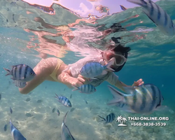 Underwater Odyssey snorkeling excursion Pattaya Thailand photo 11247