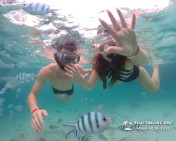 Underwater Odyssey snorkeling excursion in Pattaya Thailand photo 116