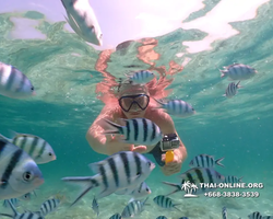 Underwater Odyssey snorkeling tour from Pattaya Thailand photo 18402