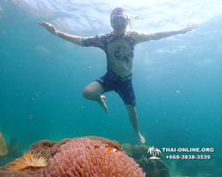 Underwater Odyssey snorkeling tour from Pattaya Thailand photo 18647