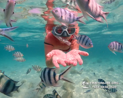 Underwater Odyssey snorkeling tour from Pattaya Thailand photo 14453
