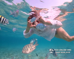 Underwater Odyssey snorkeling excursion Pattaya Thailand photo 11156