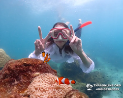 Underwater Odyssey snorkeling excursion in Pattaya Thailand photo 458