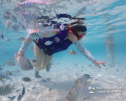 Underwater Odyssey snorkeling excursion in Pattaya Thailand photo 879