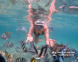 Underwater Odyssey snorkeling tour from Pattaya Thailand photo 14441