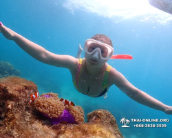 Underwater Odyssey snorkeling excursion in Pattaya Thailand photo 867