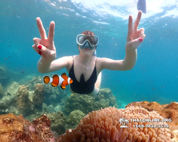 Underwater Odyssey snorkeling tour from Pattaya Thailand photo 14158
