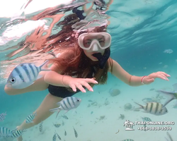 Underwater Odyssey snorkeling excursion in Pattaya Thailand photo 114