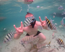 Underwater Odyssey snorkeling excursion in Pattaya Thailand photo 213