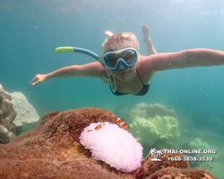 Underwater Odyssey snorkeling excursion Pattaya Thailand photo 19318