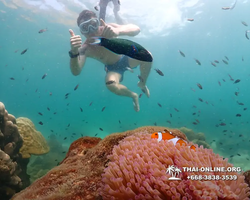 Underwater Odyssey snorkeling tour from Pattaya Thailand photo 18362