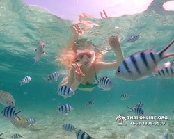 Underwater Odyssey snorkeling tour from Pattaya Thailand photo 18466