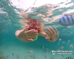 Underwater Odyssey snorkeling excursion in Pattaya Thailand photo 107