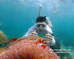 Underwater Odyssey snorkeling tour from Pattaya Thailand photo 18404