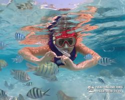 Underwater Odyssey snorkeling excursion in Pattaya Thailand photo 666