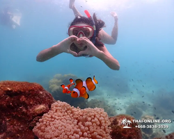 Underwater Odyssey snorkeling excursion in Pattaya Thailand photo 545