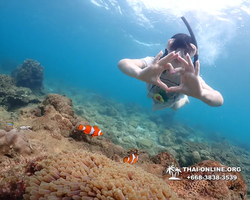 Underwater Odyssey snorkeling excursion Pattaya Thailand photo 11404