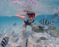 Underwater Odyssey snorkeling excursion in Pattaya Thailand photo 526