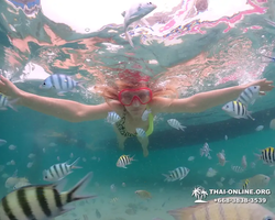 Underwater Odyssey snorkeling excursion in Pattaya Thailand photo 58