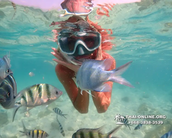 Underwater Odyssey snorkeling tour from Pattaya Thailand photo 14417