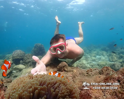 Underwater Odyssey snorkeling excursion Pattaya Thailand photo 11425
