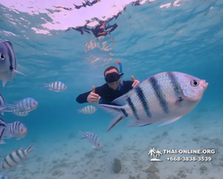 Underwater Odyssey snorkeling excursion Pattaya Thailand photo 11143
