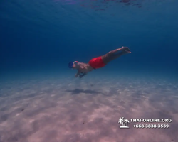 Underwater Odyssey snorkeling tour from Pattaya Thailand photo 10911